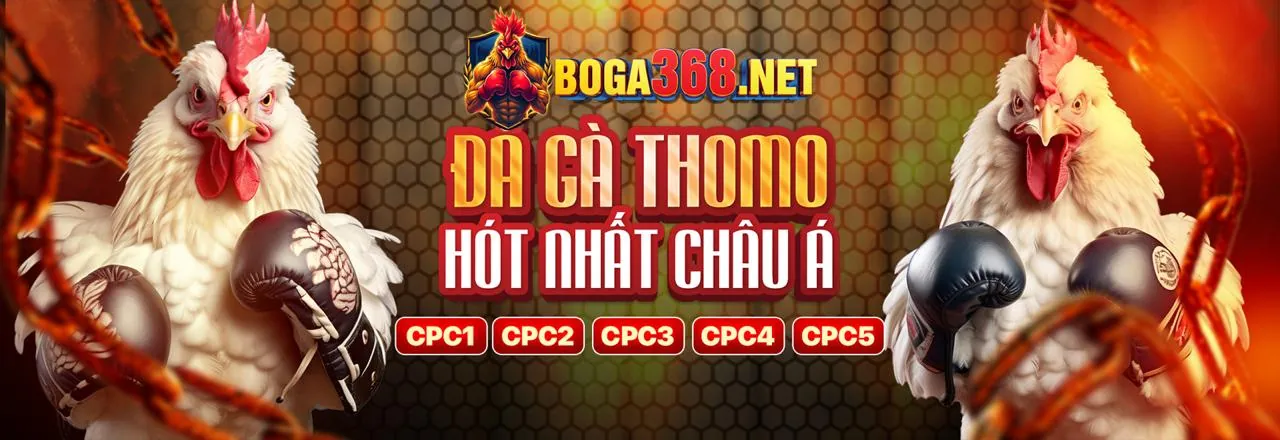 Đá Gà Trực Tuyến do666 Chính Thức