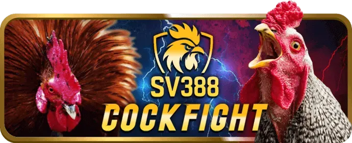 Hoàn Trả Hàng Ngày do666