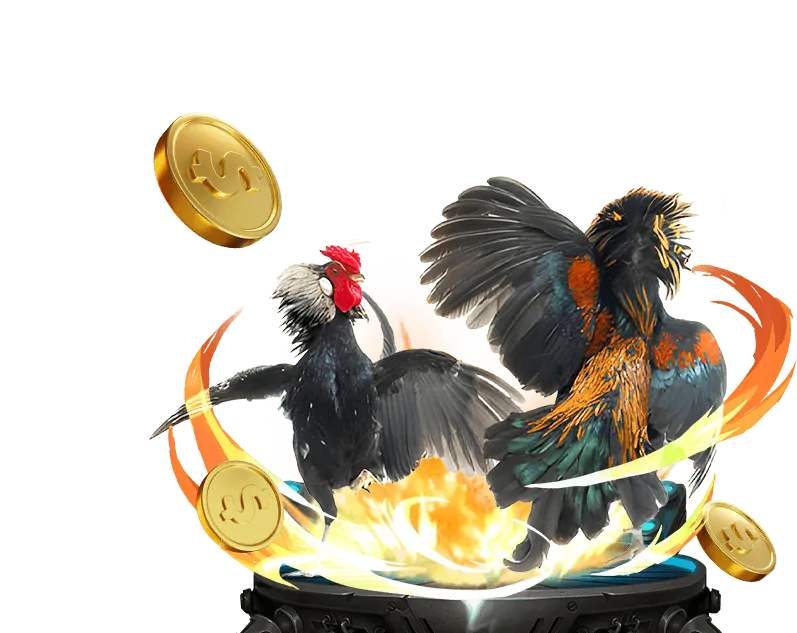 Nền tảng công nghệ hiện đại do666 chính thức